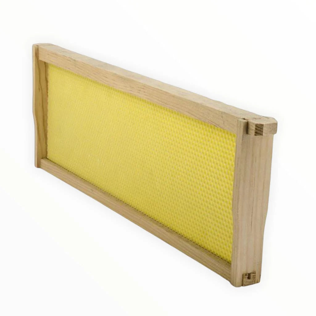 Assembled Medium Wooden Frame with Wax Coated Foundation
